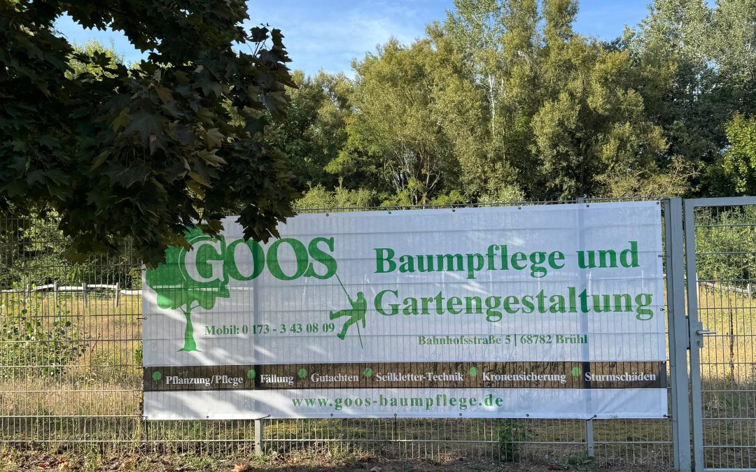 Immer am Ball – Neuigkeiten vom Tennisclub